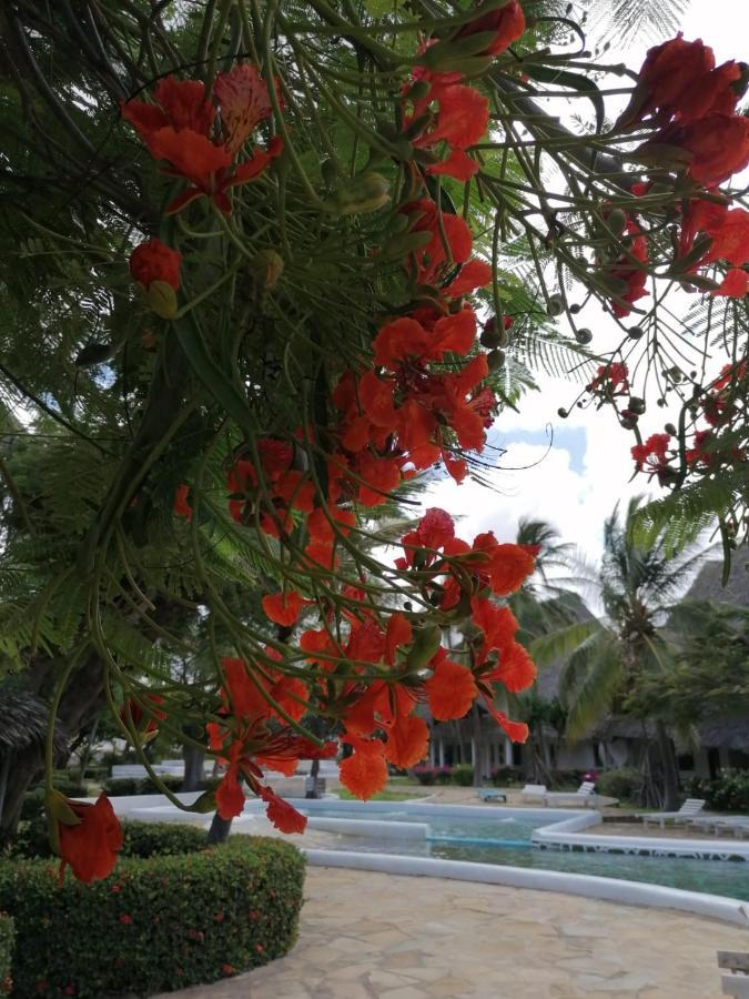 Coral Key Villa Malindi Dış mekan fotoğraf